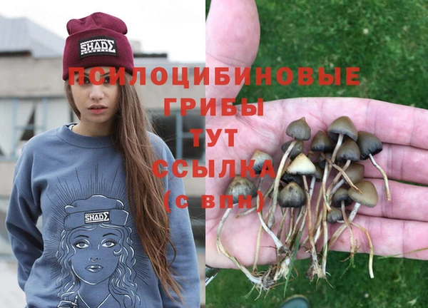 меф VHQ Кукмор