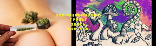 Альфа ПВП Куйбышев